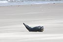 %_tempFileNameDLDK05-Langeoog-50-05%