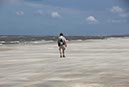 %_tempFileNameDLDK05-Langeoog-50-13%