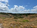 %_tempFileNameDLDK05-Langeoog-58%