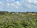 %_tempFileNameDLDK05-Langeoog-67%