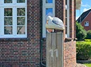 %_tempFileNameDLDK05-Langeoog-75%