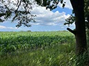 %_tempFileNameDLDK06-Lutetsburg-09%