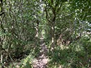 %_tempFileNameDLDK09-SkjernEnge-05%
