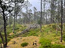 %_tempFileNameDLDK12-Kaergard-18%