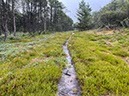 %_tempFileNameDLDK12-Kaergard-20%
