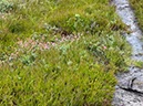 %_tempFileNameDLDK12-Kaergard-21%