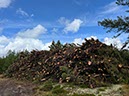 %_tempFileNameDLDK12-Kaergard-24%
