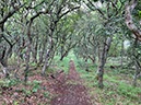 %_tempFileNameDLDK12-Kaergard-25%