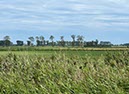 %_tempFileNameDLDK16-Groemitz-24%