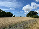 %_tempFileNameDLDK17-Fehrmarn-30%