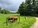 %_tempFileNameDLDK18-Eutin-04%