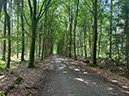 %_tempFileNameDLDK06-Lutetsburg-07%