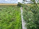 %_tempFileNameDLDK09-SkjernEnge-19%