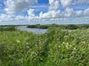 %_tempFileNameDLDK09-SkjernEnge-47%