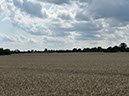 %_tempFileNameDLDK16-Groemitz-25%