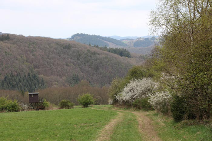 %_tempFileNameEifel02-Aremberg-15%