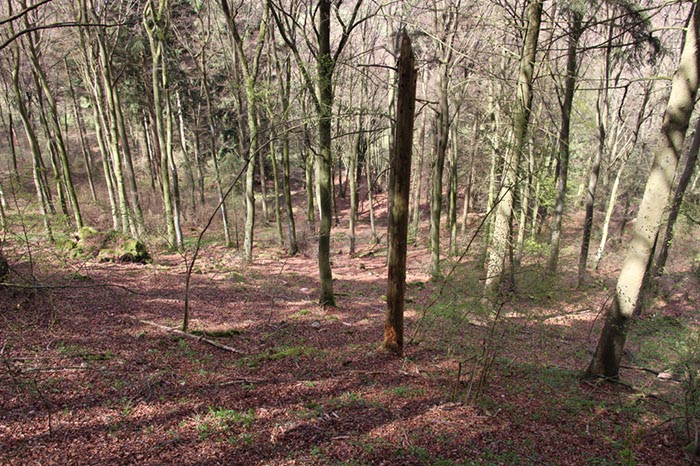%_tempFileNameEifel05-Kasselberg-014%