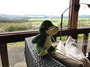 %_tempFileNameEifel01-heenreis-12%