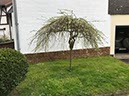 %_tempFileNameEifel02-Aremberg-05%