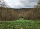 %_tempFileNameEifel02-Aremberg-16%