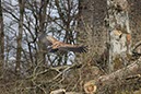 %_tempFileNameEifel05-Kasselberg-086%