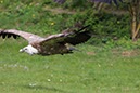 %_tempFileNameEifel05-Kasselberg-090%