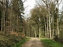 %_tempFileNameEifel02-Aremberg-18%