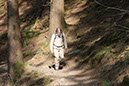 %_tempFileNameEifel06-Monschau-49%