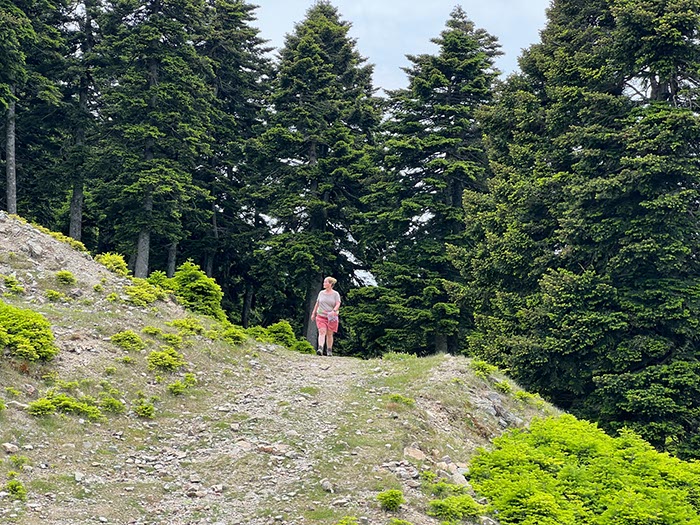 %_tempFileNameEvia03-Dirphys%20trail-08%