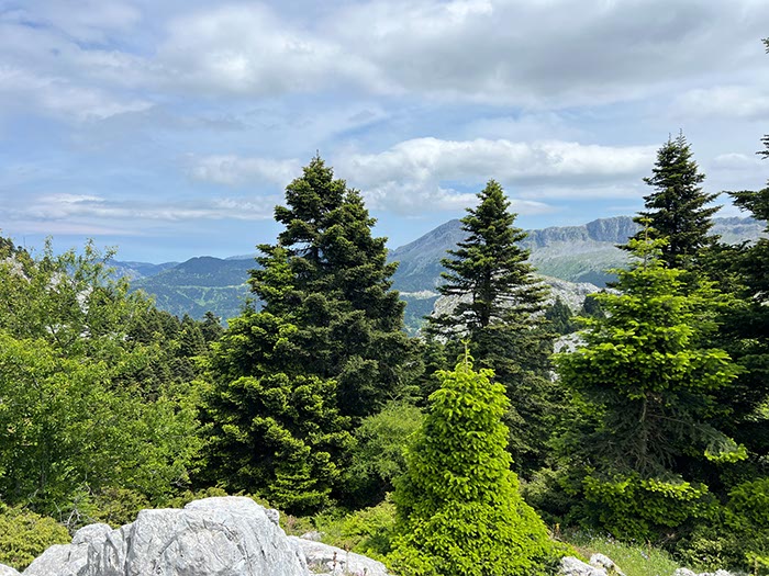 %_tempFileNameEvia03-Dirphys%20trail-11%
