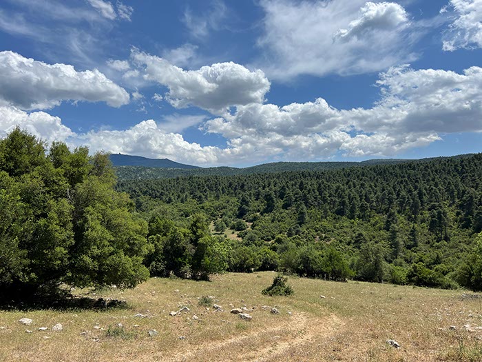 %_tempFileNameEvia13-Avlonas-01%