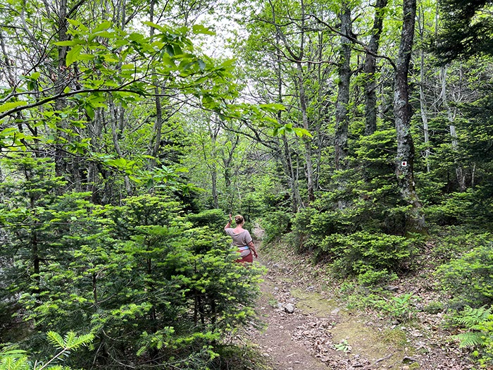 %_tempFileNameEvia03-Dirphys%20trail-22%