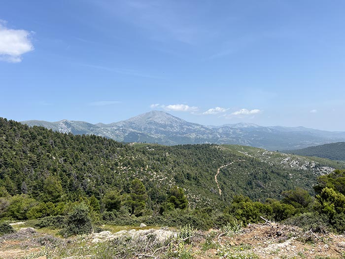 %_tempFileNameEvia09-Attali-05%