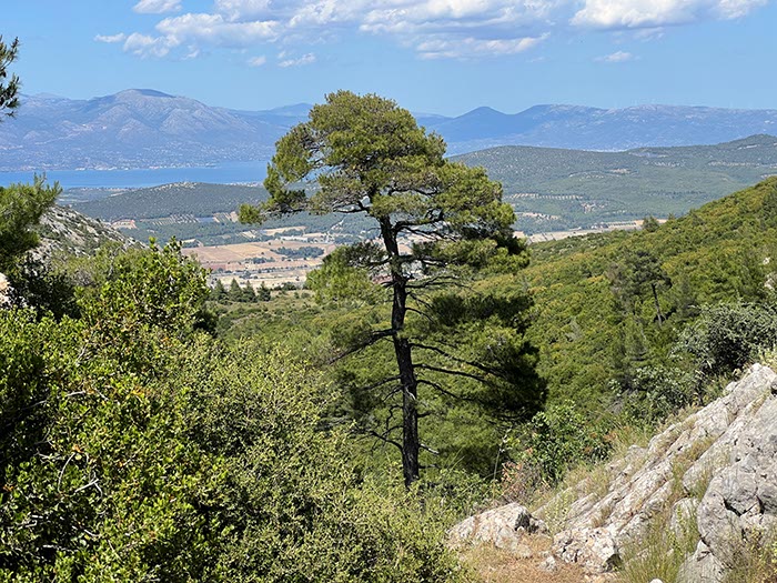 %_tempFileNameEvia13-Avlonas-09%