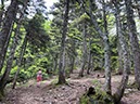 %_tempFileNameEvia03-Dirphys%20trail-03%