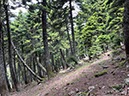 %_tempFileNameEvia03-Dirphys%20trail-05%