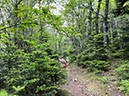 %_tempFileNameEvia03-Dirphys%20trail-22%