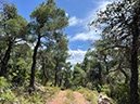 %_tempFileNameEvia13-Avlonas-02%