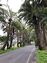 %_tempFileNameGC03-Bandama%20en%20StBrigida-69%