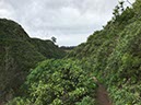 %_tempFileNameGC06-Fontaneles-23-1%