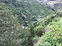 %_tempFileNameGC06-Fontaneles-26-1%