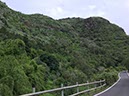 %_tempFileNameGC06-Fontaneles-28-1%
