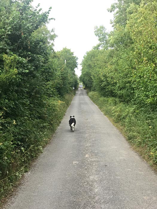 %_tempFileNameIerland-015%20Naar%20Oughterard-36-1%