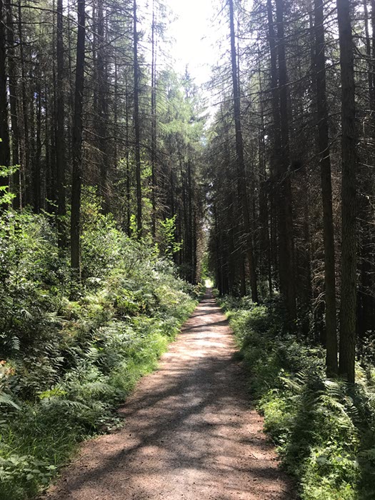 %_tempFileNameIerland-03%20Kilbroney-08-1%