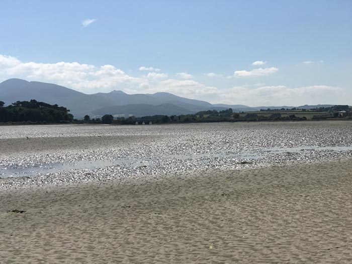 %_tempFileNameIerland-04%20Murlough-40-1%