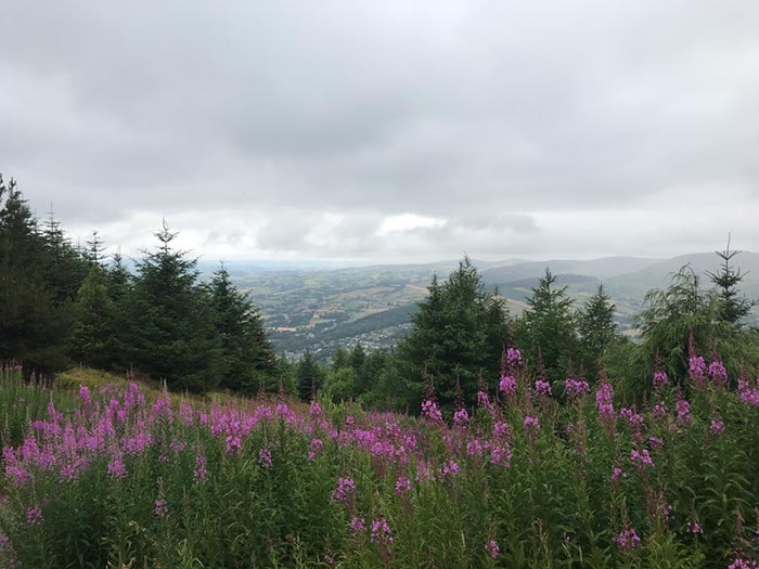 %_tempFileNameIerland-05%20Rostrevor%20Forest-22-1%