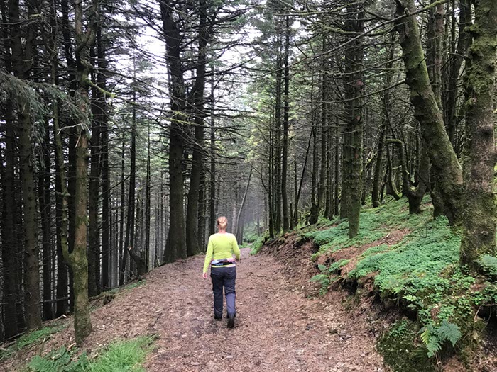 %_tempFileNameIerland-05%20Rostrevor%20Forest-27-1%