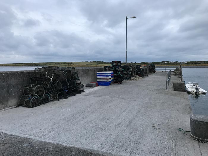%_tempFileNameIerland-13%20Linnane-06-1-1%