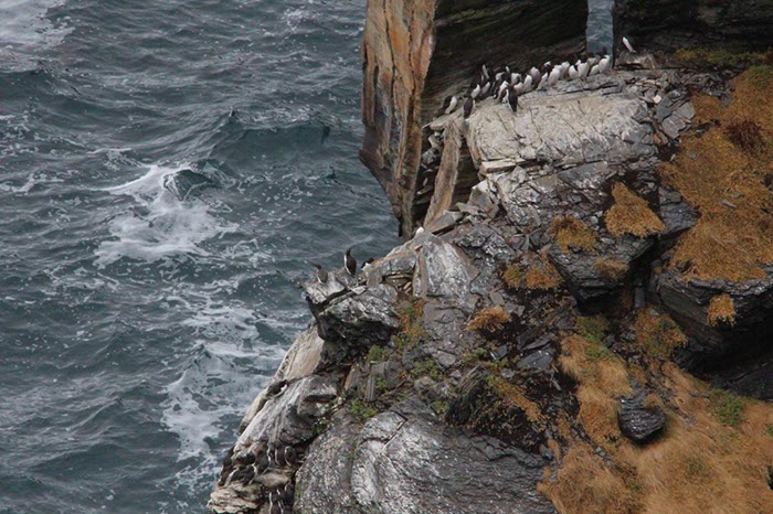 %_tempFileNameIerland-14%20Cliffs%20of%20Moher-19-1-1%