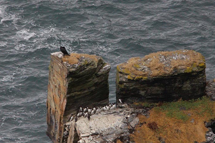 %_tempFileNameIerland-14%20Cliffs%20of%20Moher-20-1-1%